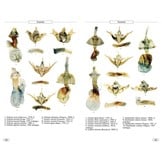 Moths of Europe, Volume 6: Noctuids 2