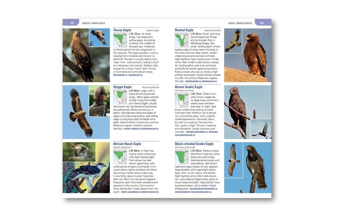 Struik Pocket Guide: Birds of Namibia