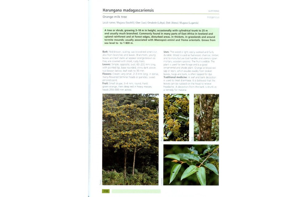 Field Guide to Common Trees & Shrubs of East Africa