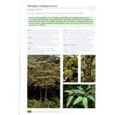 Field Guide to Common Trees & Shrubs of East Africa