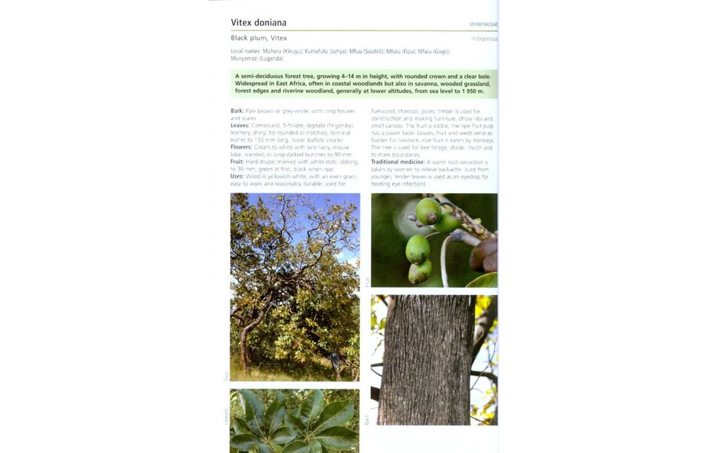 Field Guide to Common Trees & Shrubs of East Africa