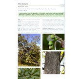Field Guide to Common Trees & Shrubs of East Africa