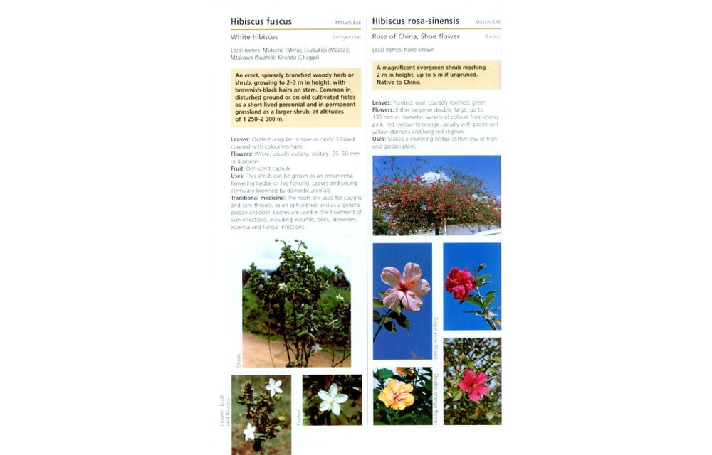 Field Guide to Common Trees & Shrubs of East Africa