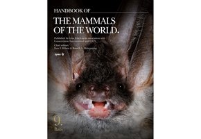 Handbook of the Mammals of the World, Vol. 9: Bats
