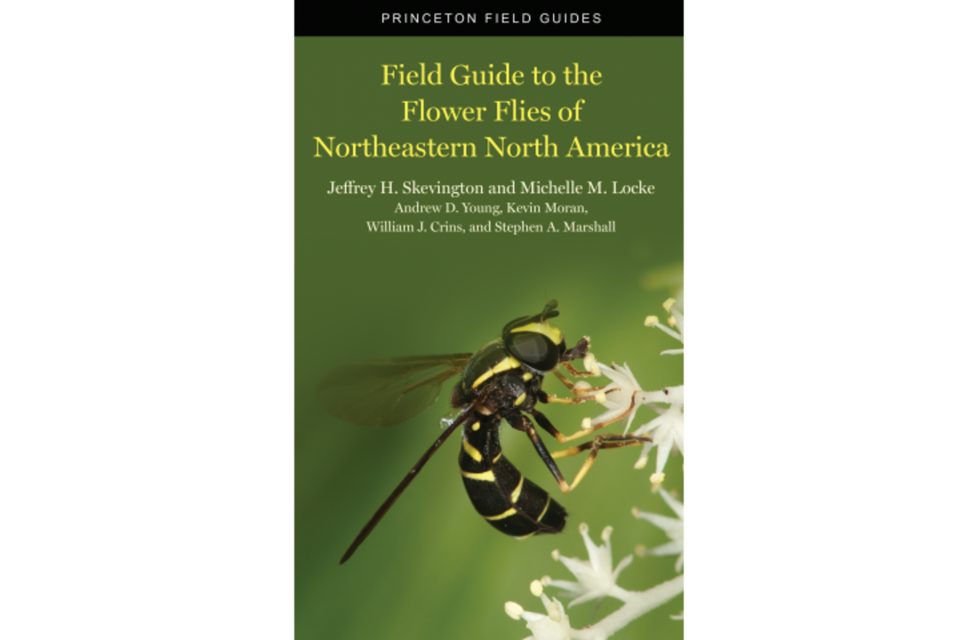Field Guide to the Flower Flies of Northeastern North America