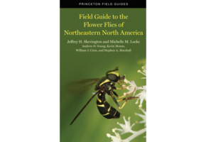 Field Guide to the Flower Flies of Northeastern North America