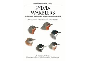 Sylvia Warblers