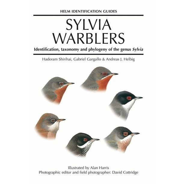 Sylvia Warblers