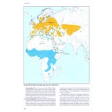 Reed and Bush Warblers