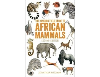 african mammals