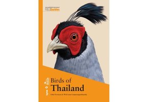 Birds of Thailand