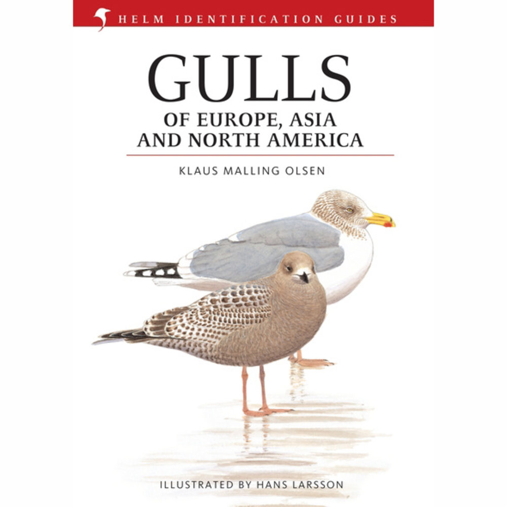 洋書 Gulls of Europe, Asia and North America Gulls of Europe, Asia and North America - Veldshop