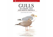 Gulls of Europe, Asia and North America