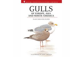 Gulls of Europe, Asia and North America