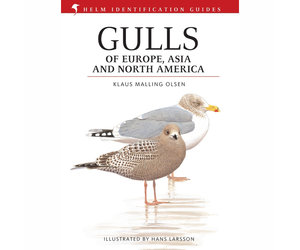 Gulls of Europe, Asia and North America - Veldshop