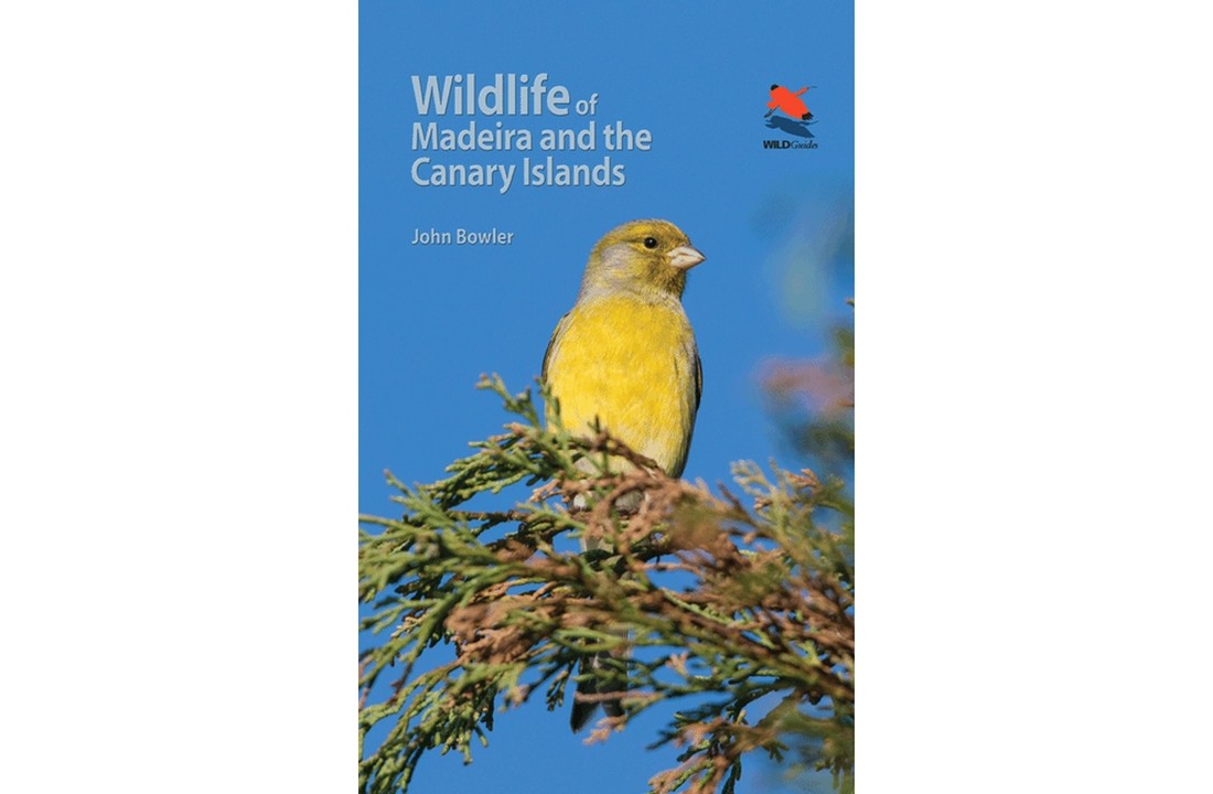 Wildlife of Madeira and the Canary Islands