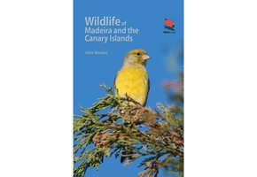 Wildlife of Madeira and the Canary Islands