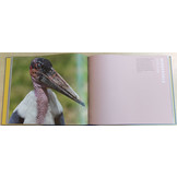 Het Dwarse Vogelboek