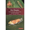 Die Zikaden Deutschlands, Osterreichs und der Schweiz
