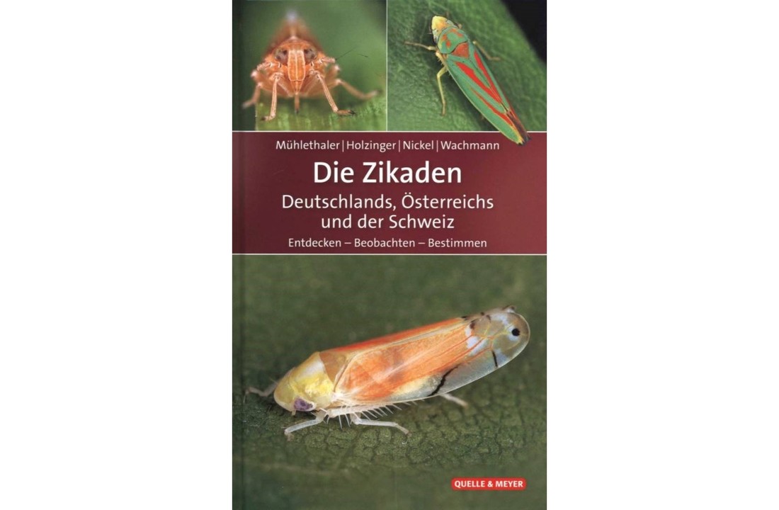 Die Zikaden Deutschlands, Osterreichs und der Schweiz