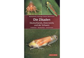 Die Zikaden Deutschlands, Osterreichs und der Schweiz