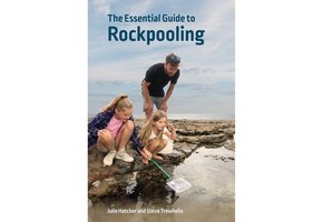 The Essential Guide to Rockpooling