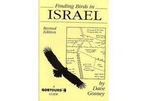 Finding Birds in Israel