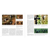 Flitsen - Praktijkgids voor Natuurfotografen