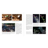 Flitsen - Praktijkgids voor Natuurfotografen