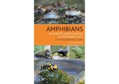 Amphibians of Europe, North Africa & The Middle East