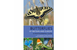 Butterflies of Britain and Europe