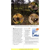 Butterflies of Britain and Europe A Photographic Guide