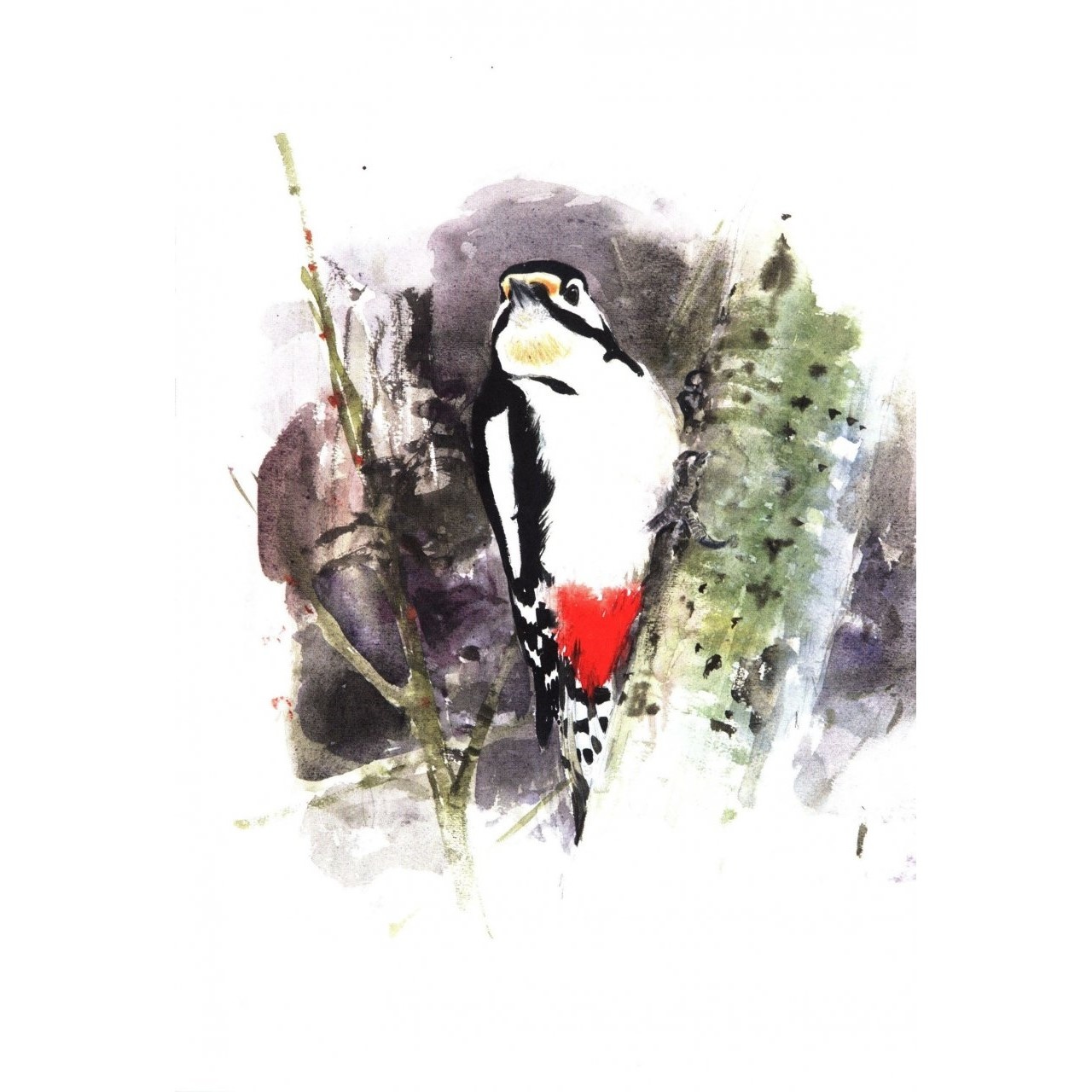Winter Birds