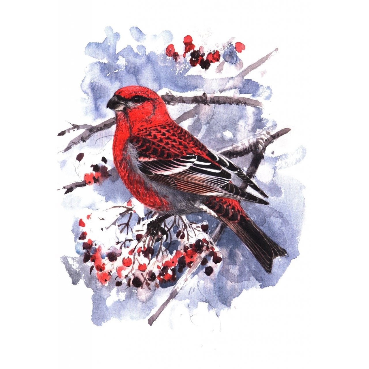 Winter Birds