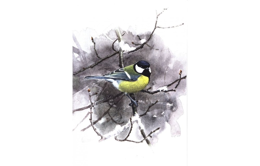 Winter Birds