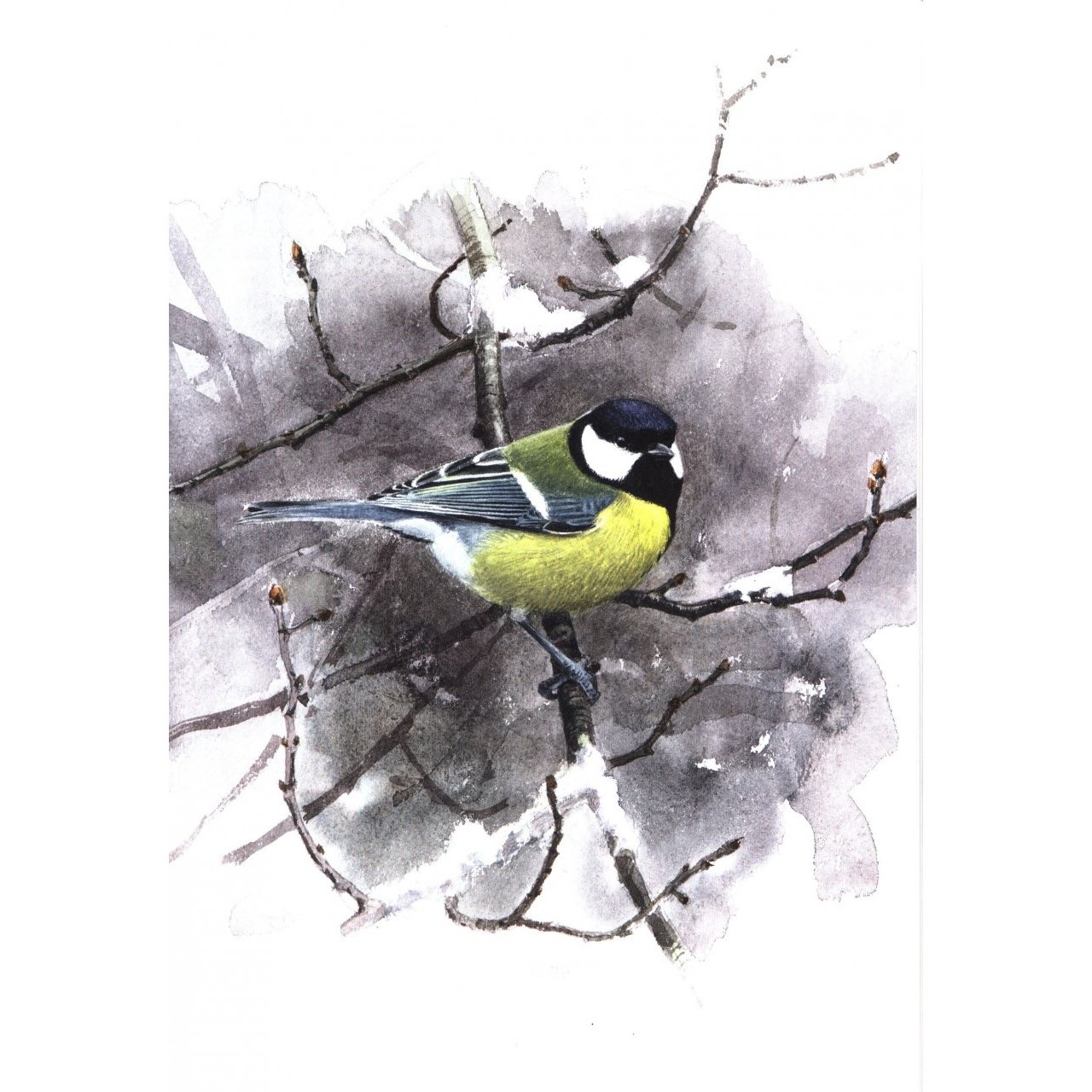 Winter Birds
