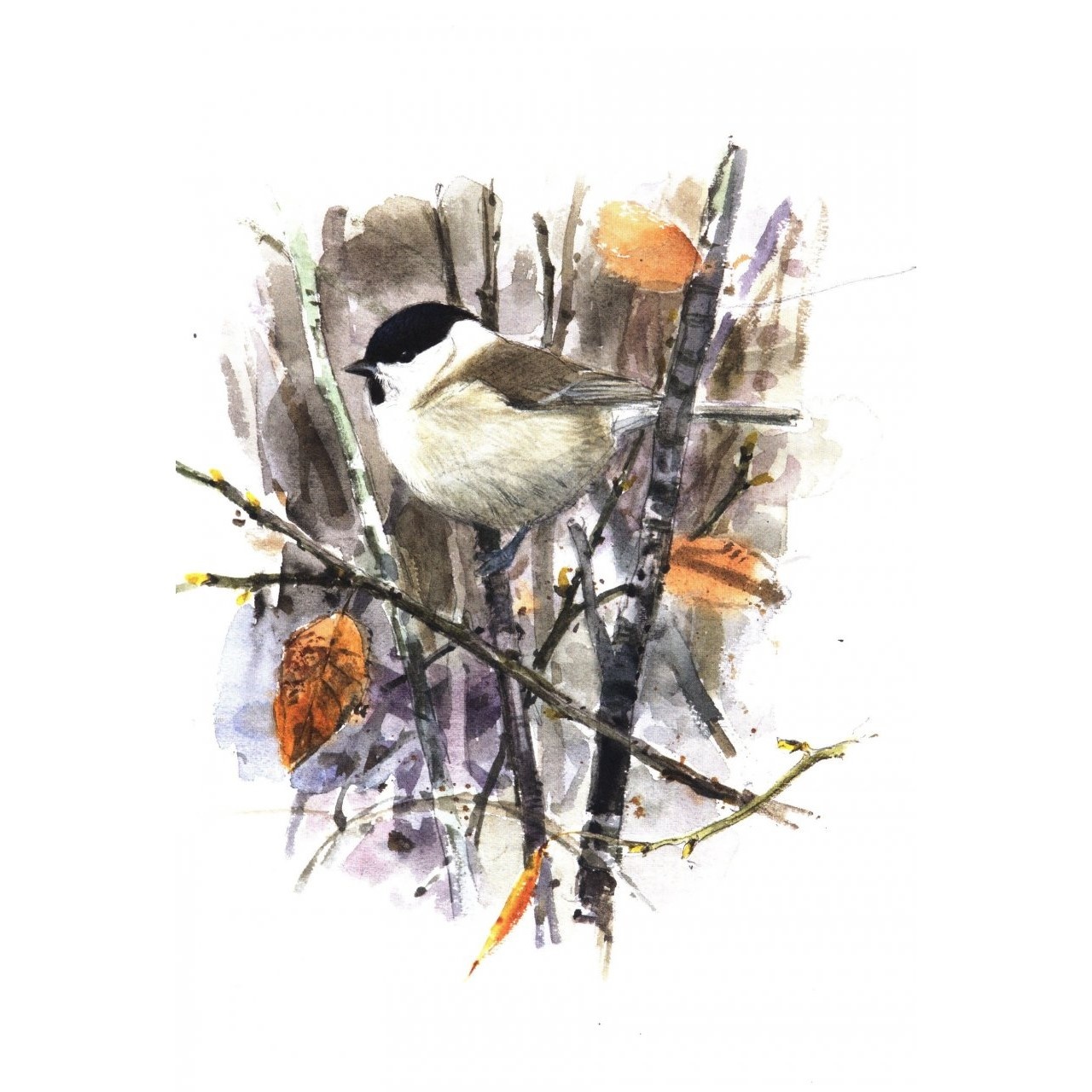 Winter Birds