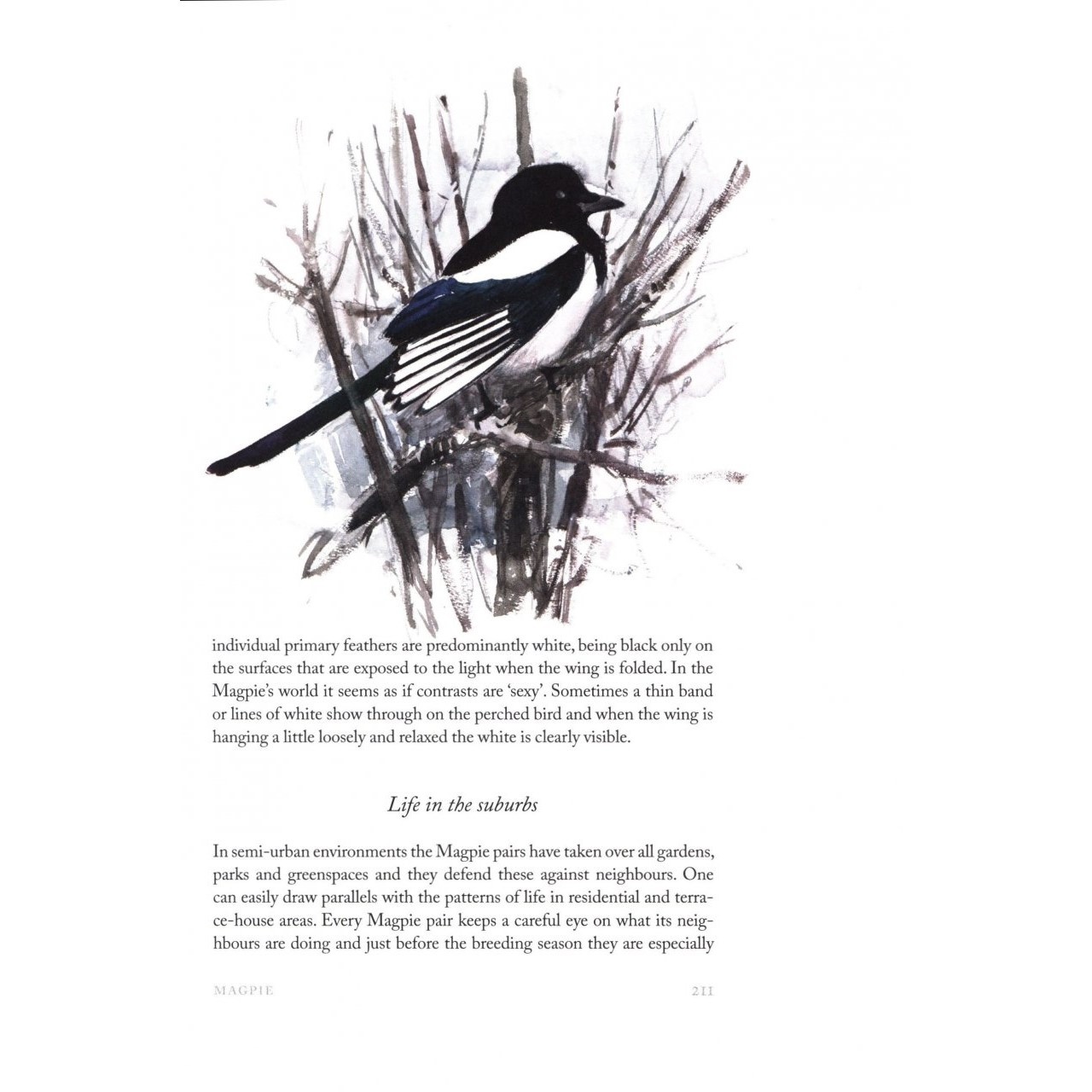 Winter Birds