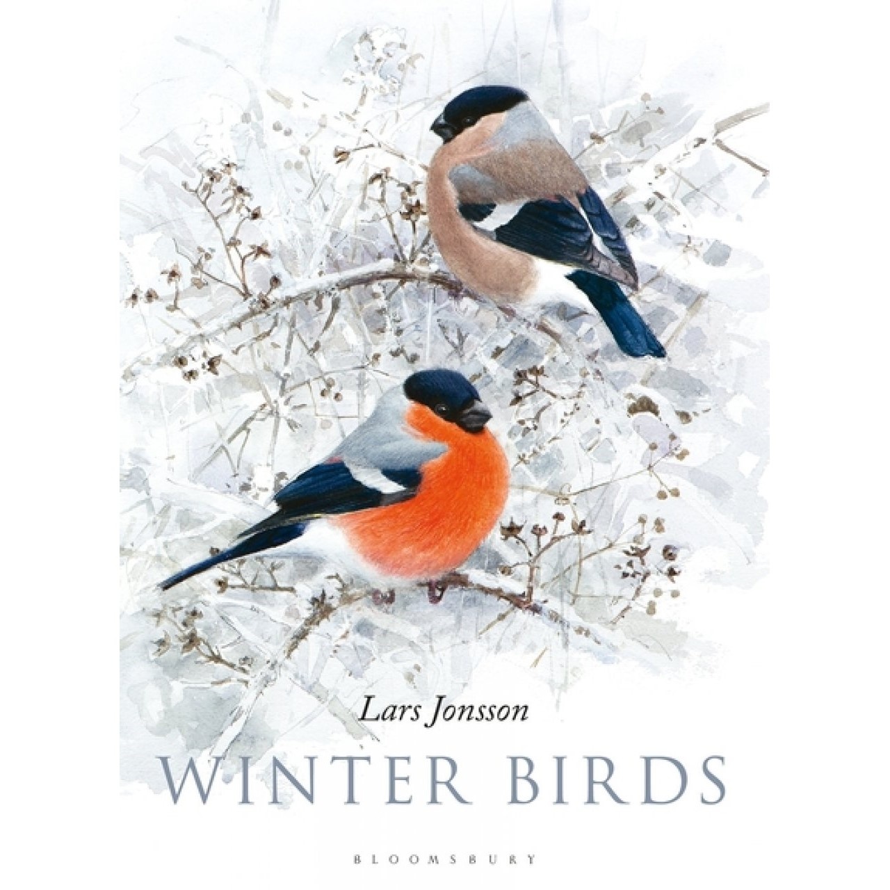 Winter Birds