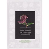 Wilde Planten van de Benelux, een Veldgids
