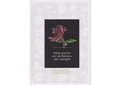 Wilde planten van de Benelux, een veldgids