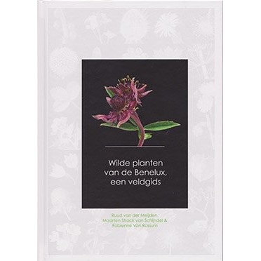 Wilde Planten van de Benelux, een Veldgids