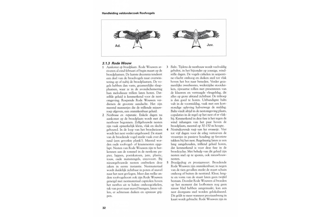 Handleiding Veldonderzoek Roofvogels