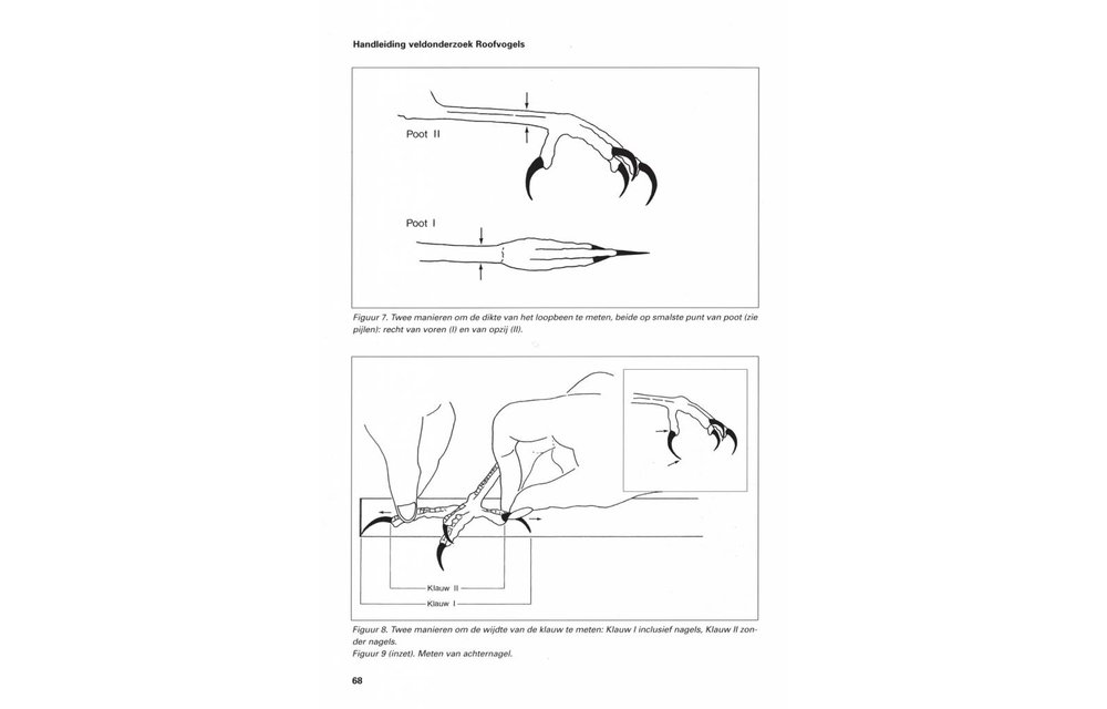Handleiding Veldonderzoek Roofvogels
