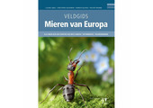 Veldgids Mieren van Europa