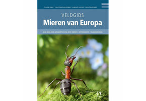 Veldgids Mieren van Europa