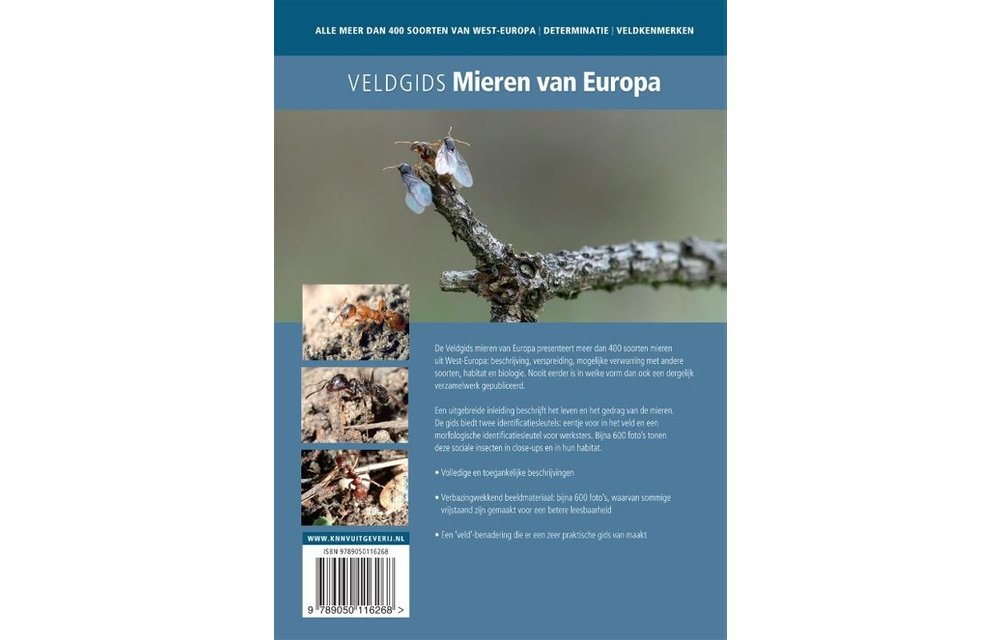 Veldgids Mieren van Europa