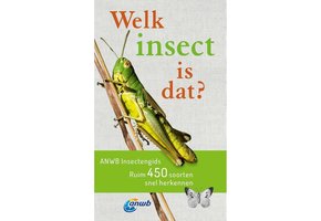 Welk Insect is dat?