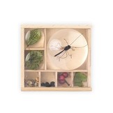 Huckleberry Insektenbox