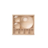 Huckleberry insect box